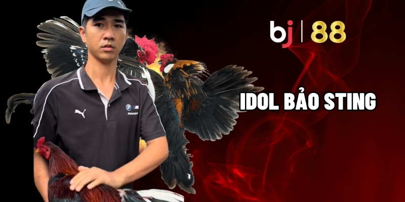 Idol Báo Sting